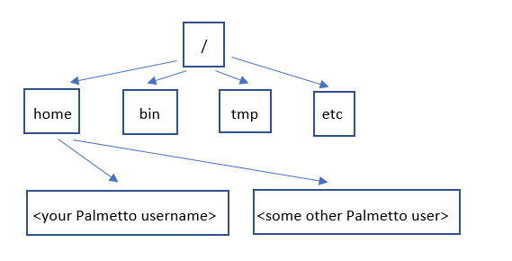 The File System