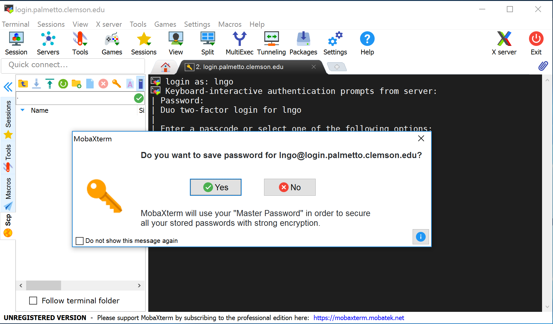 Password saving selection